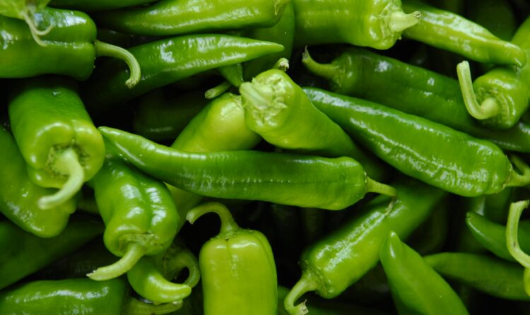 Green Chili (Dried)