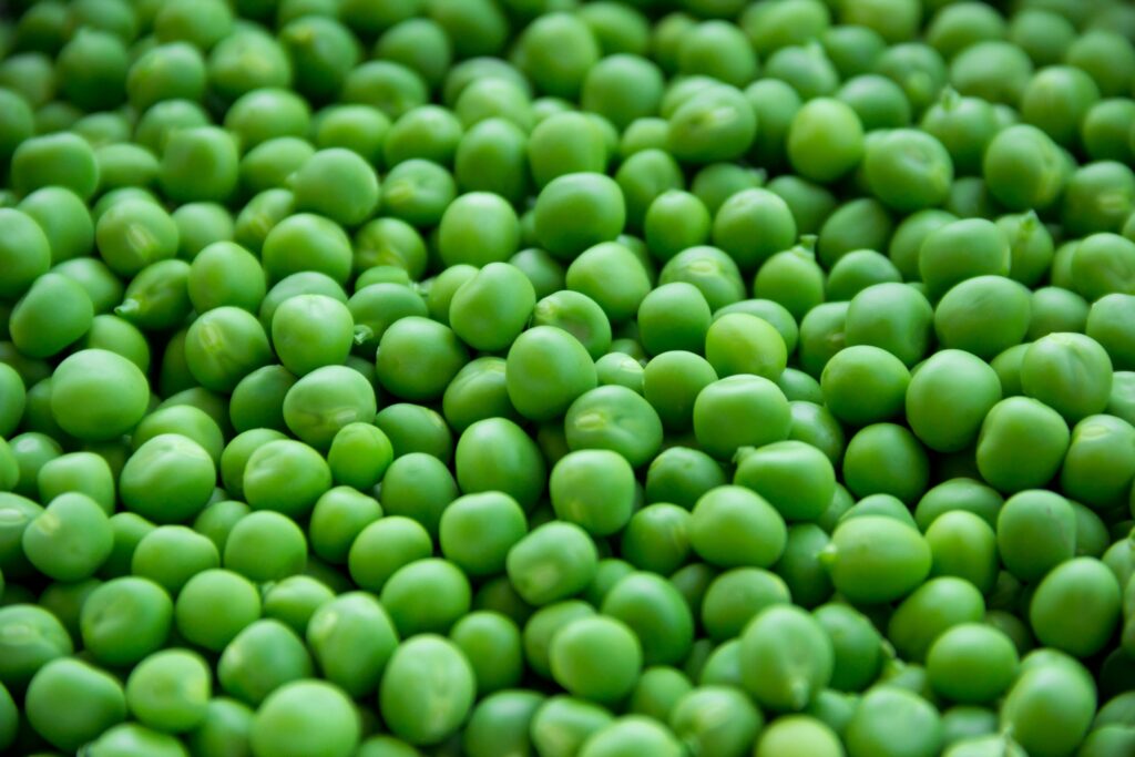 PEA Protein